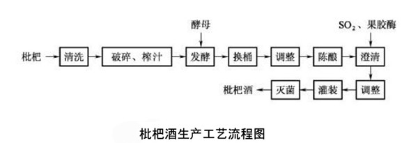 枇杷酒消費工藝流程圖